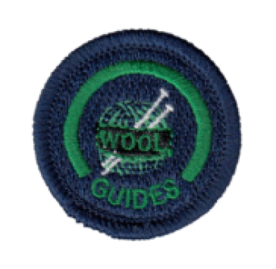 GG Knitter Badge   Girl Guiding Supplies Singapore | Girl Guide Singapore